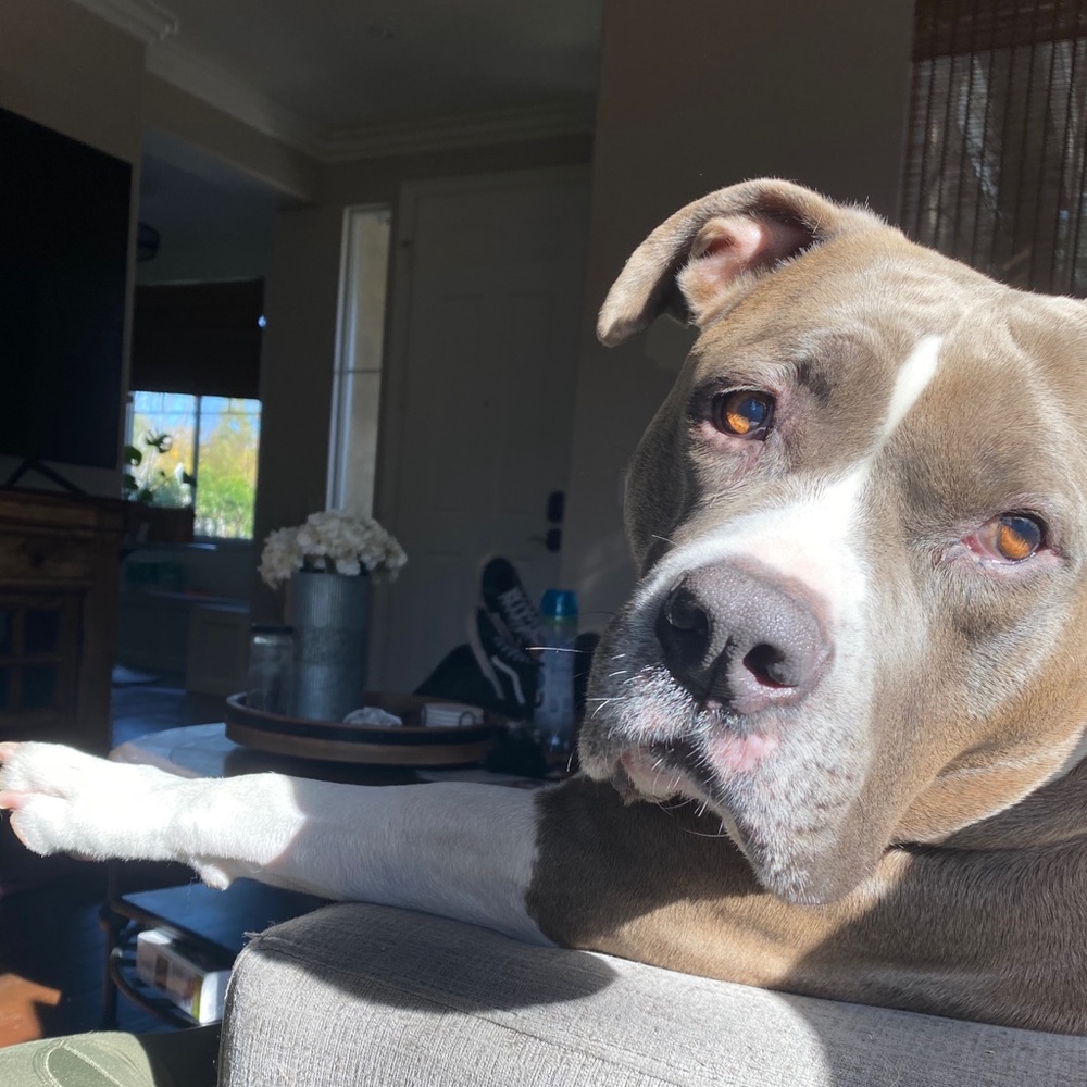 Meet your Posher, Cathy